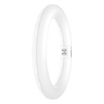 Osram Tubo LED T9 Circolare (EM/Mains) 11W 1320lm - 865 Luce Del Giorno | Sostitutiva 22W