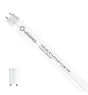 Ledvance Tubo LED T8 Performance (EM/Mains) High Output 6.8W 1100lm - 840 Bianco Freddo | 60cm - Sostitutiva 18W
