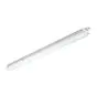 Philips Stagna LED CoreLine WT120C 33W 4000lm - 840 Bianco Freddo | 120cm - Interact Dimmerabile - Emergenza 3H